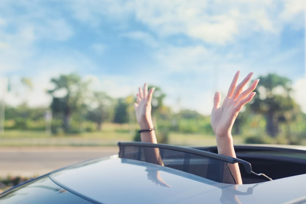 Stop the Drips| Step-by-Step Guide on How to Fix A Leaky Sunroof