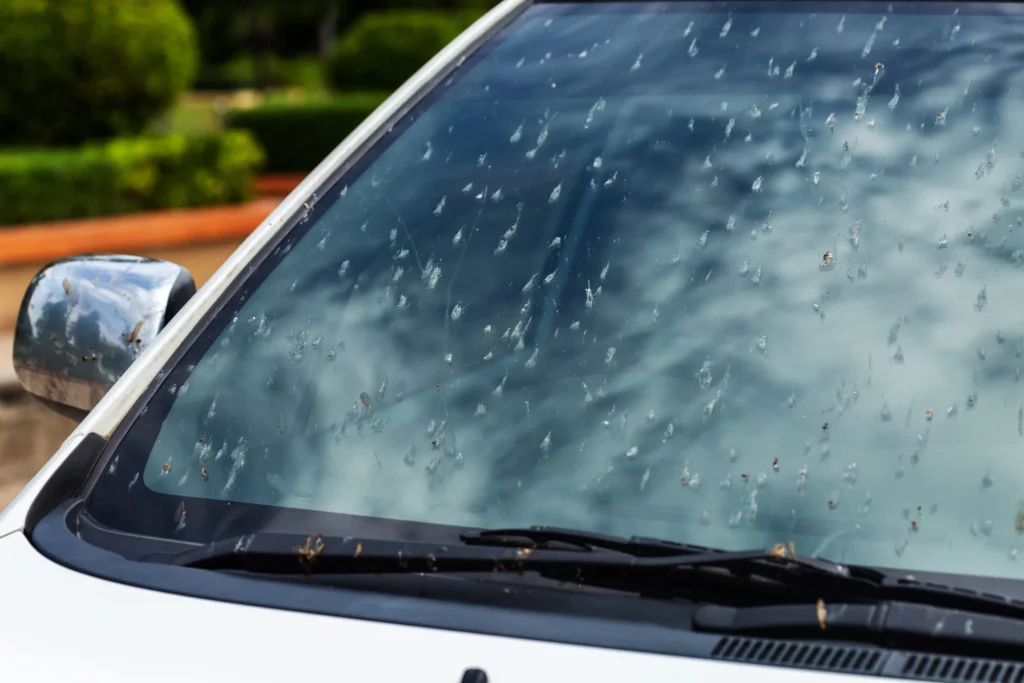 Mastering the Art| How to Get Bugs Off Windshield Like a Pro