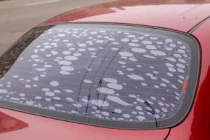 How to Repair Window Tint Bubbles