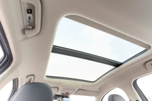 How Much Does It Cost To Unclog Sunroof Drain? | 2026 Guide