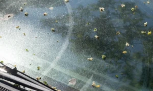 How to Get Sap Off Windshield | Easy Step-by-Step Guide