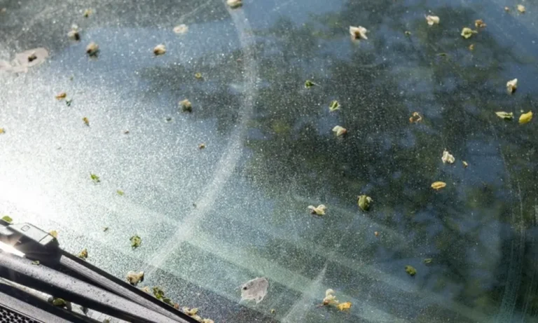 How to Get Sap Off Windshield | Easy Step-by-Step Guide