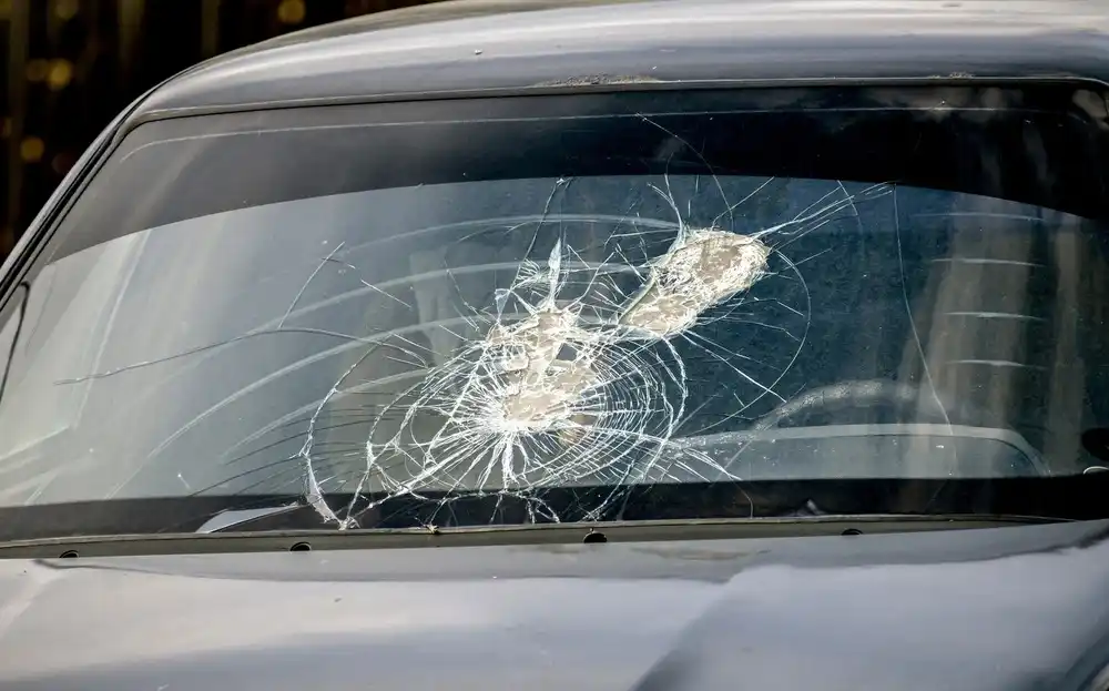 Shattered Rear Window